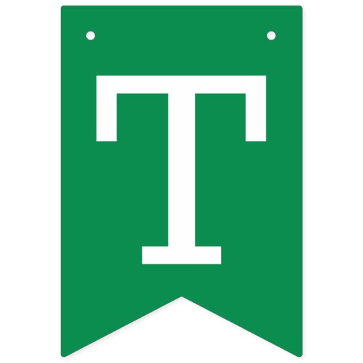 Happy St Patricks Day Kleeblatts Green Wimpelkette (Zweite Fahne)