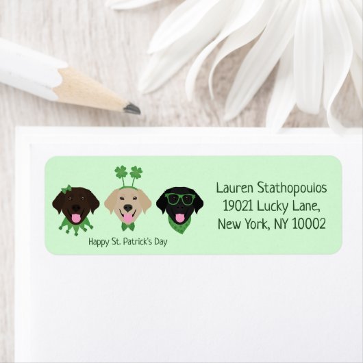 Happy St Patricks Day Labrador Retriever Hunde (Insitu)