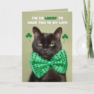 Happy St. Patrick's Day Lucky Black Cat Humor Feiertagskarte