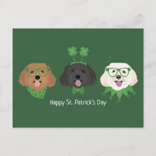 Happy St Patricks Day Maltipoo Dogs Postkarte