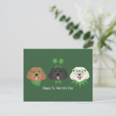 Happy St Patricks Day Maltipoo Dogs Postkarte (Stehend Vorderseite)
