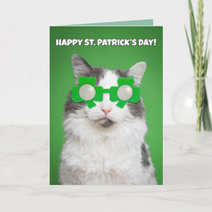 Happy St. Patrick's Day Niedlich Cat Feiertagskarte