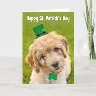 Happy St. Patrick's Day Niedlich Labradoodle iDog  Feiertagskarte