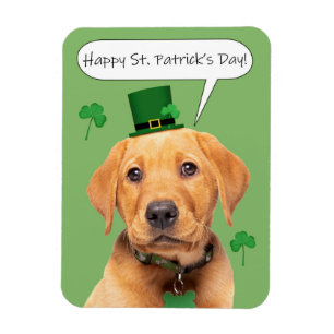 Happy St Patrick's Day Niedlich Labrador Puppy Magnet