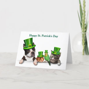 Happy St. Patrick's Day Pets Feiertagskarte