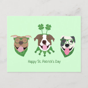 Happy St Patricks Day Pit Bull Hogs Postkarte