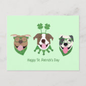 Happy St Patricks Day Pit Bull Hogs Postkarte (Vorderseite)