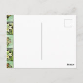 Happy St. Patricks Day Postkarte (Rückseite)