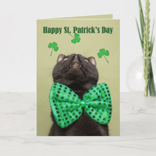Happy St. Patrick's For Anyone Day Cat in Bow Kraw Feiertagskarte