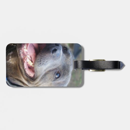 Happy Staffordshire Bull Terrier, Gepäckanhänger (Rückseite horizontal)