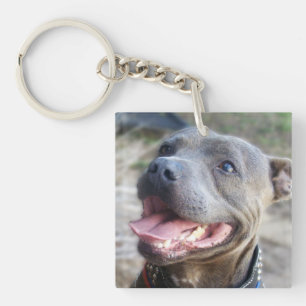 Happy Staffordshire Bull Terrier, Schlüsselanhänger