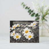 Happy Summer Daisies Postkarte (Stehend Vorderseite)