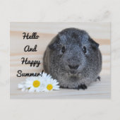 Happy Summer Guinea Pig Postkarte (Vorderseite)
