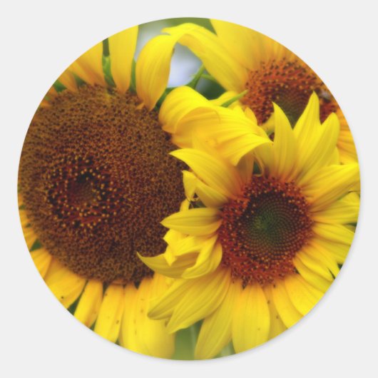 Happy Sunblumen Runder Aufkleber (Vorderseite)
