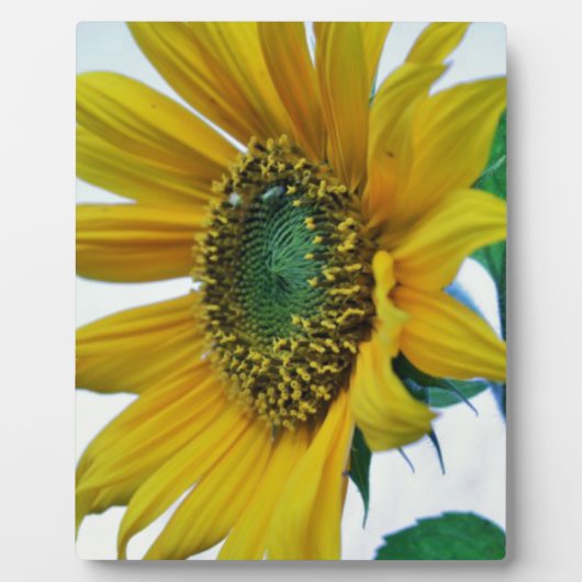 Happy Sunflower Fotoplatte (Vorderseite)