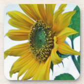 Happy Sunflower Untersetzer (Vorderseite)