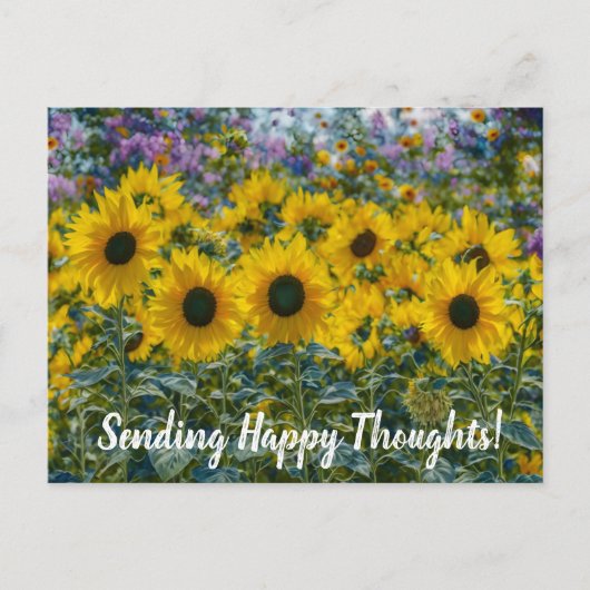 Happy Sunflowers Happy Thoughts Postcard Postkarte (Vorderseite)