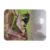 Happy Sunset Goats Birthday Magnet (Horizontal)