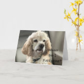 HAPPY SWEET **13** VON COCKER SPANIEL CARD KARTE (Gelbe Blume)
