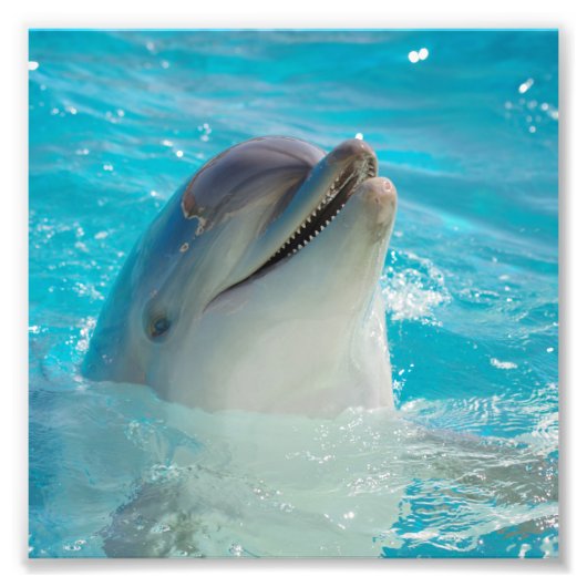 Happy Swimming Dolphin Fotodruck (Vorne)