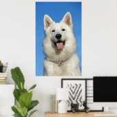 Happy Swiss Shepherd Poster (Heimbüro)