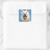 Happy Swiss Shepherd Quadratischer Aufkleber (Tasche)
