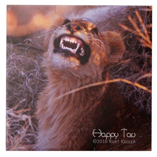 Happy Tau Fliese (Vorderseite)