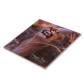 Happy Tau Fliese (Seite)