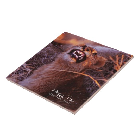 Happy Tau Fliese (Seite)