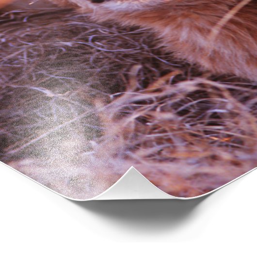 Happy Tau Fotodruck (Ecke)