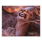 Happy Tau Fotodruck (Vorne)