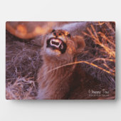 Happy Tau Fotoplatte (Vorderseite)