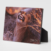 Happy Tau Fotoplatte (Seite)