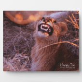 Happy Tau Fotoplatte (Vorderseite)