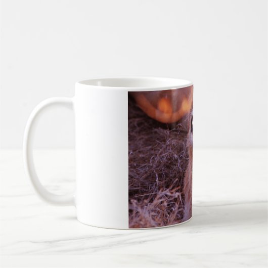Happy Tau, Lächelnd Lion Cub Kaffeetasse (Links)