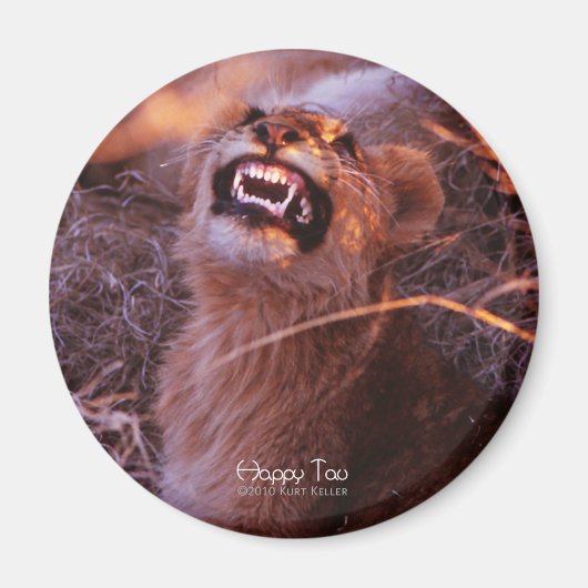 Happy Tau, Lächelnd Lion Cub Magnet (Vorne)