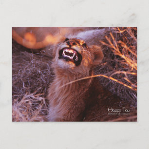 Happy Tau, Lächelnd Lion Cub Postkarte