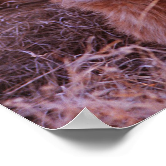 Happy Tau Poster (Ecke)