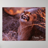 Happy Tau Poster (Vorne)