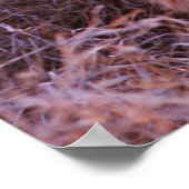 Happy Tau Poster (Ecke)