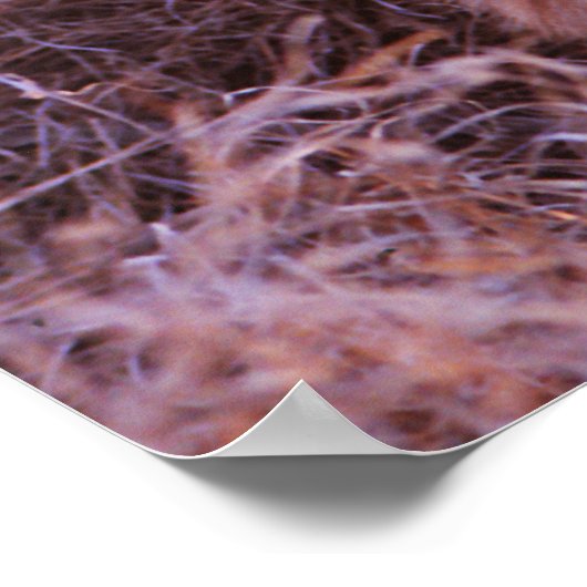 Happy Tau Poster (Ecke)