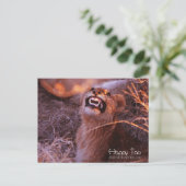 Happy Tau Postkarte (Stehend Vorderseite)