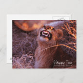 Happy Tau Postkarte (Vorne/Hinten)