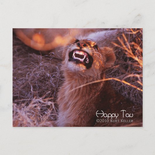 Happy Tau Postkarte (Vorderseite)