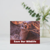Happy Tau Rett Our Wildlife Postcard Postkarte (Stehend Vorderseite)