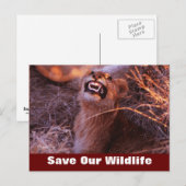 Happy Tau Rett Our Wildlife Postcard Postkarte (Vorne/Hinten)