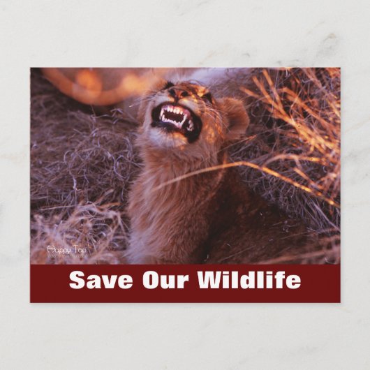 Happy Tau Rett Our Wildlife Postcard Postkarte (Vorderseite)