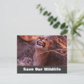 Happy Tau, Rett unsere Wildlife Postkarte (Stehend Vorderseite)