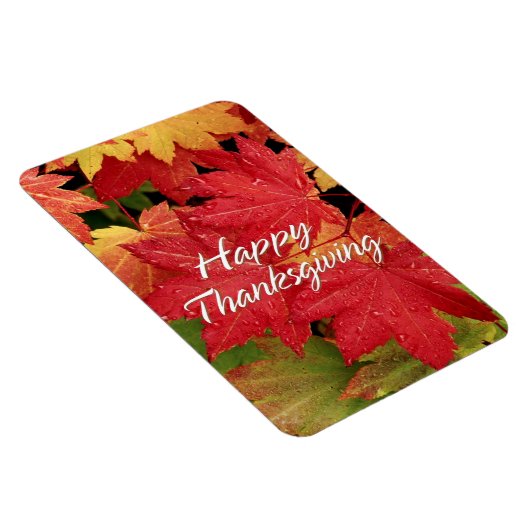 Happy Thanksgiving 8 Premium Magnet (Rechte Seite)