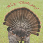 Happy Thanksgiving Aufkleber (Vorderseite)